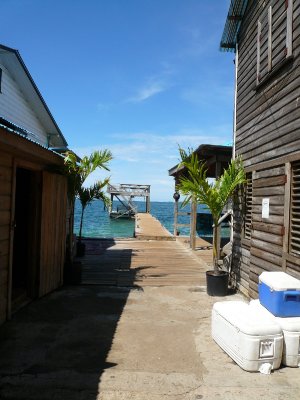 P1040018